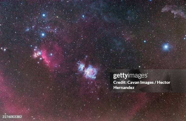 stunning orion constellation with nebulae in detailed night sky - nebulosa bildbanksfoton och bilder