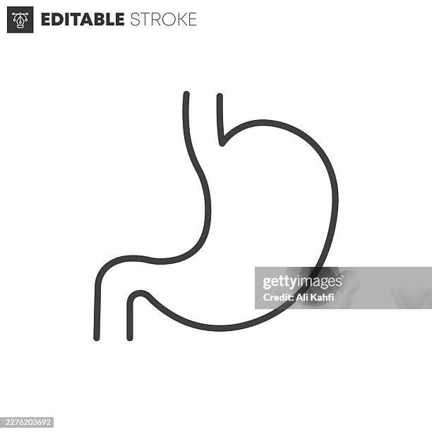healthy stomach thin line icons collection. editable stroke. vector illustration. - endoscopy stock illustrations