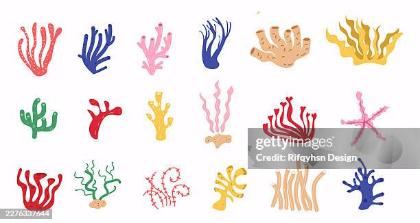 cute pastel tropical summer underwater coral reef bundle set collection with hand drawn doodle seaweed, algae, kelp and starfish, abstract marine ocean life vector illustration design for cute art set - sea kelp stock illustrations