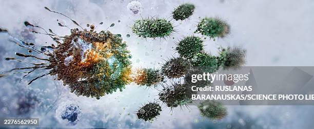 macrophage, illustration - phagocyte stock illustrations