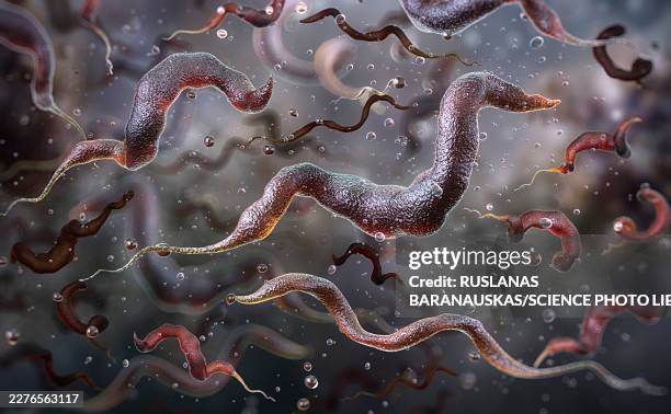 campylobacter bacteria, illustration - spread germs stock illustrations