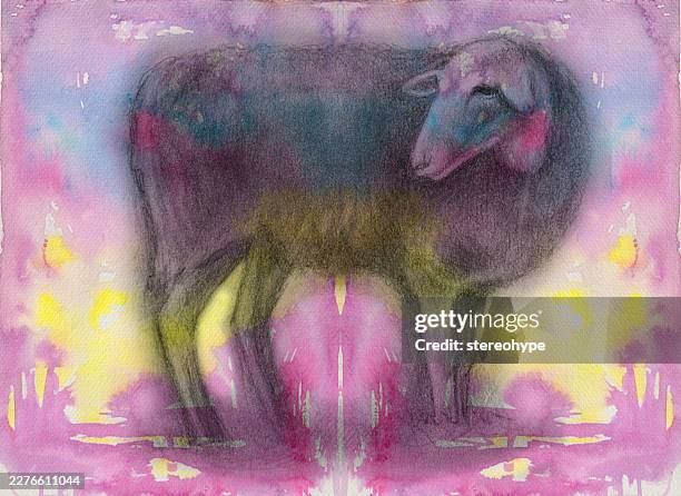 sijmple sheep - graphite background stock illustrations
