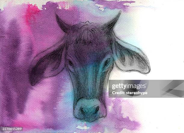 cow head sketch - foraging stock illustrations