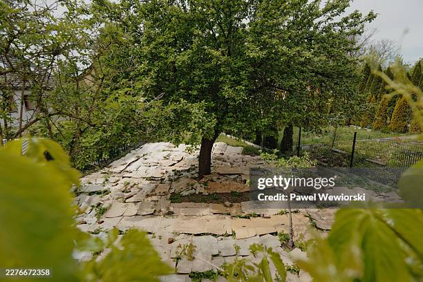 tree surrounded by cardboard boxes - mulch stock pictures, royalty-free photos & images