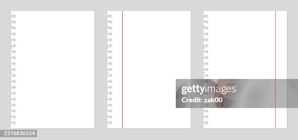 torn blank paper sheets. - folder mockup stock illustrations