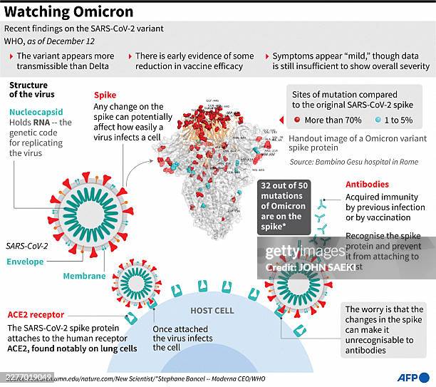 Graphic showing how SARS-CoV-2 uses the spike protein to enter cells, with an update on the latest findings from the wHO on the Omicron variant