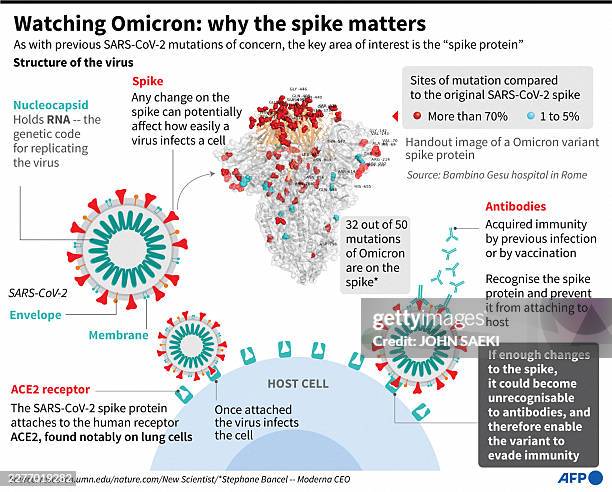 Graphic showing how SARS-CoV-2 uses the spike protein to enter cells.