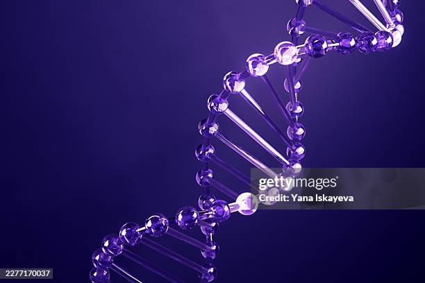 transparent dna helix with water droplets - crispr data stock pictures, royalty-free photos & images