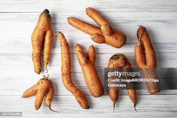 several ripe orange ugly carrots lie on a light wooden surface. selective focus - imperfection stock pictures, royalty-free photos & images
