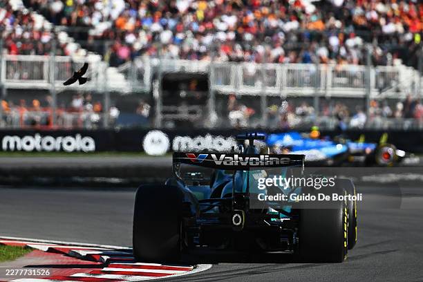 Lance Stroll of Canada driving the Aston Martin F1 Team AMR26 Honda on track, startles a bird, during Sprint Qualifying ahead of the F1 Grand Prix of...
