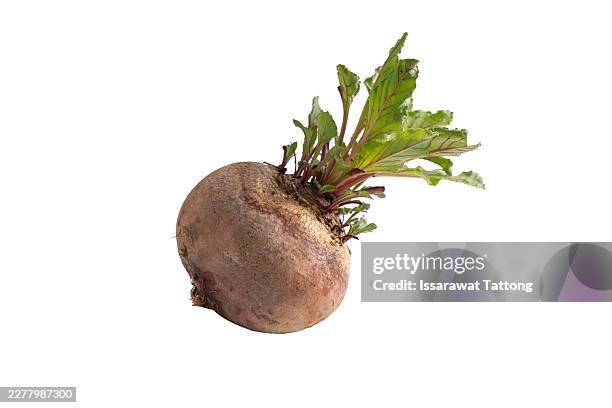 beetroot with leaves, fresh whole beet isolated on white background - beets stock pictures, royalty-free photos & images