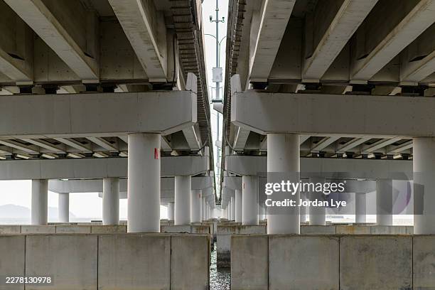 architectural geometry of a modern bridge understructure with repeating columns and beams - solid foundations stock pictures, royalty-free photos & images
