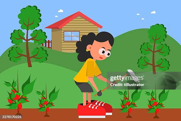 garden - backyard stock illustrations
