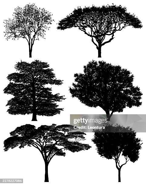 tree silhouettes - tree tops stock illustrations