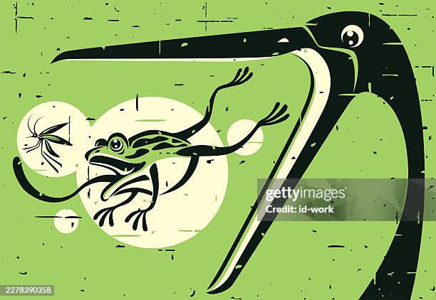 stork going to catch frog which hunting insect - mosquito biting stock illustrations
