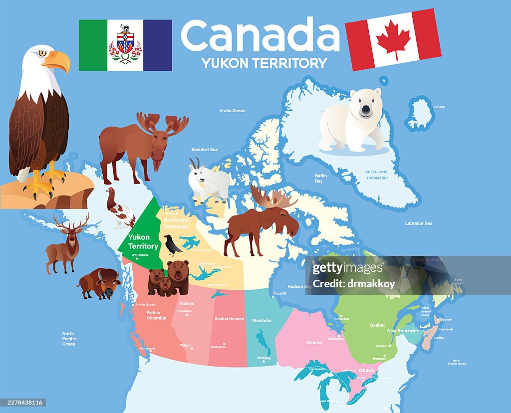 Canada and Yukon Territory Wildlife Map