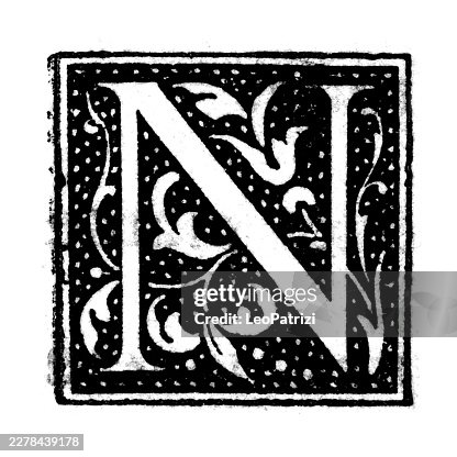 Decorative Drop Cap Initial Letter N Intertwined with Classical Scrollwork Decorative Drop Cap Initial Letter N Intertwined with Classical Scrollwork