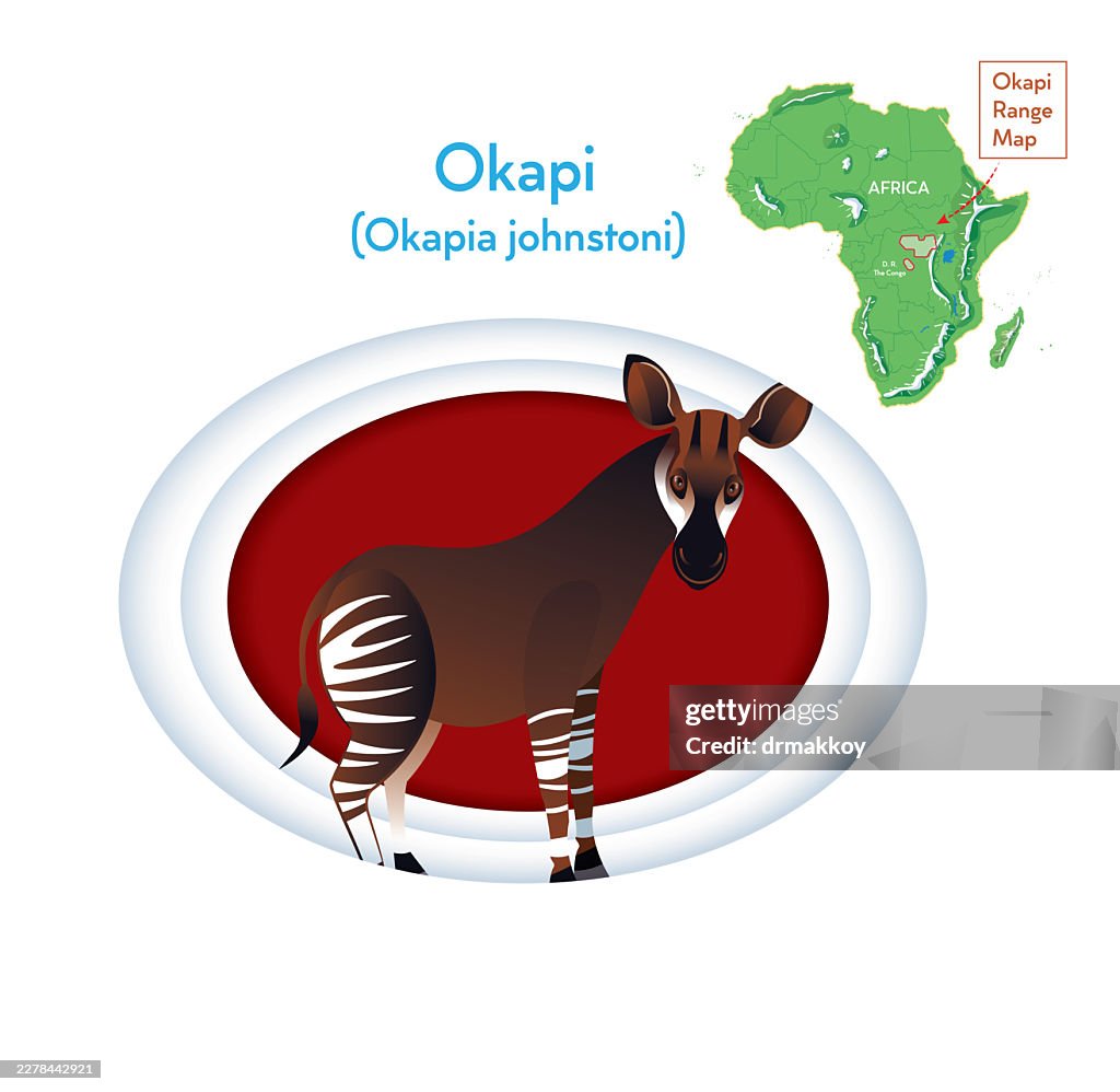 Okapi Range Map and Wildlife Illustration