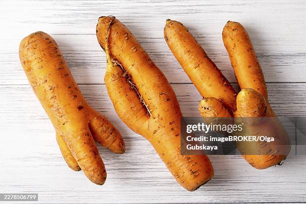top view close-up of several ripe orange ugly carrots lie on a light wooden surface with copy space for text. selective focus - imperfection stock pictures, royalty-free photos & images