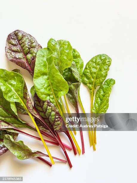 harvested baby swiss chard on light background - green salad stock pictures, royalty-free photos & images