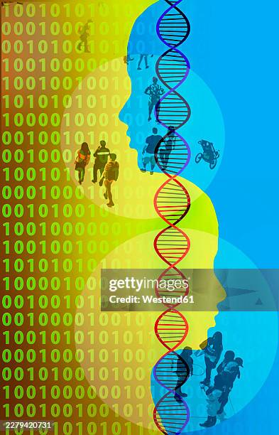 digital concept of d.n.a. binary code and human profiles - dna binary stock illustrations