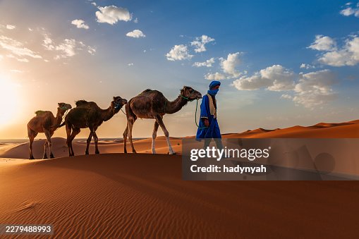 Young Tuareg with camels on Western Sahara Desert in Africa Young Tuareg with camels on Western Sahara Desert in Africa