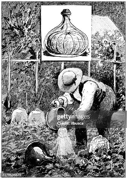 growing a melon inside a bottle - strange fruit stock illustrations