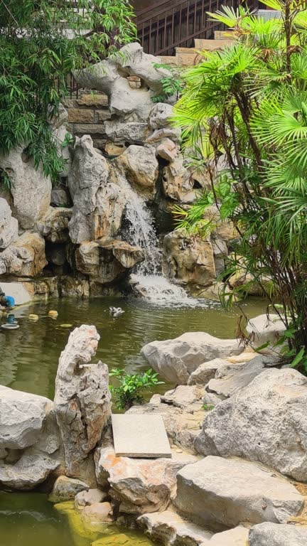 https://media.gettyimages.com/id/2279733498/video/small-waterfall-cascading-over-rocks-into-pond-in-tropical-garden.jpg?b=1&s=640x640&k=20&c=fWgBaM15n0CenOLRTeR8LqjXsTT_a-9njjJUInvDhSY=