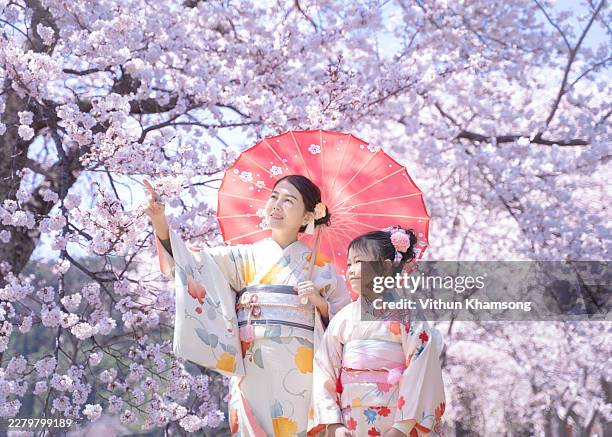 mother and daughter wearing traditional kimono under cherry blossoms in japan. - kimono photos et images de collection
