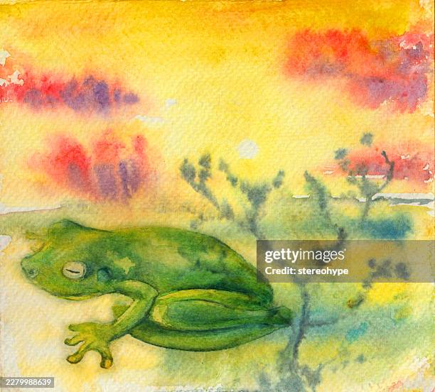 rainforest frog - coral spawning stock illustrations