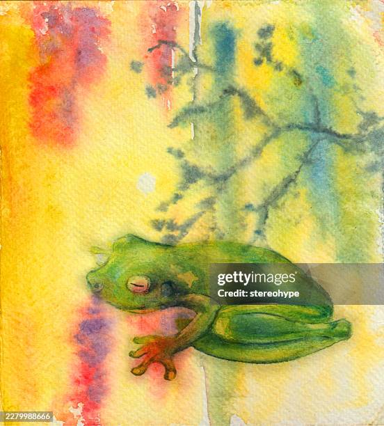 rainforest frog - coral spawning stock illustrations