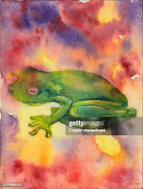 rainforest frog - coral spawning stock illustrations