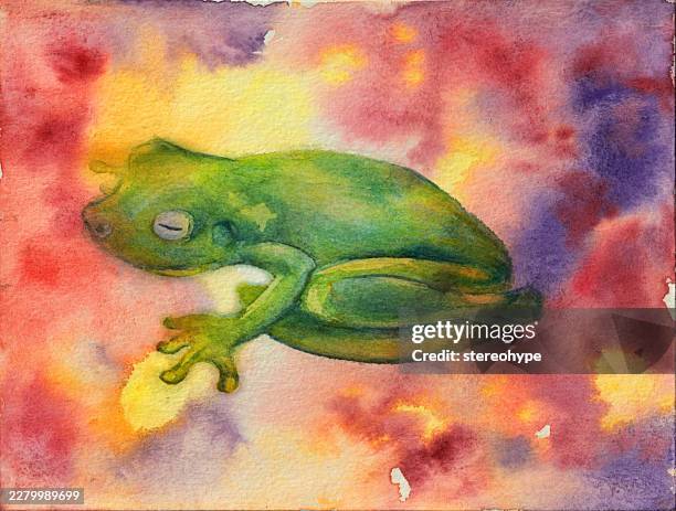 rainforest frog - coral spawning stock illustrations