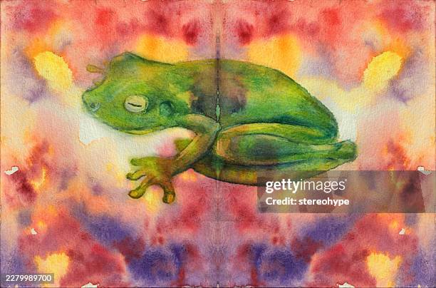 rainforest frog - coral spawning stock illustrations