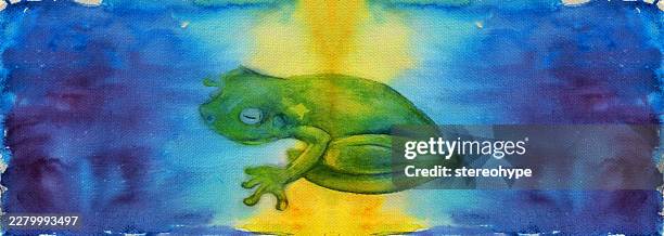 rainforest frog - coral spawning stock illustrations