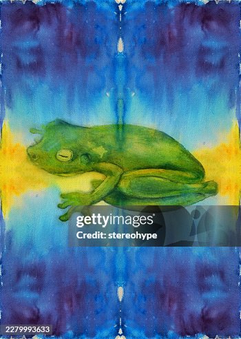Rainforest frog Rainforest frog
