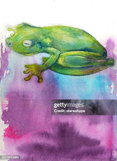 rainforest frog - coral spawning stock illustrations