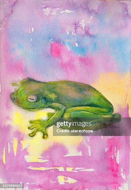 rainforest frog - coral spawning stock illustrations