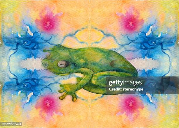 rainforest frog - coral spawning stock illustrations