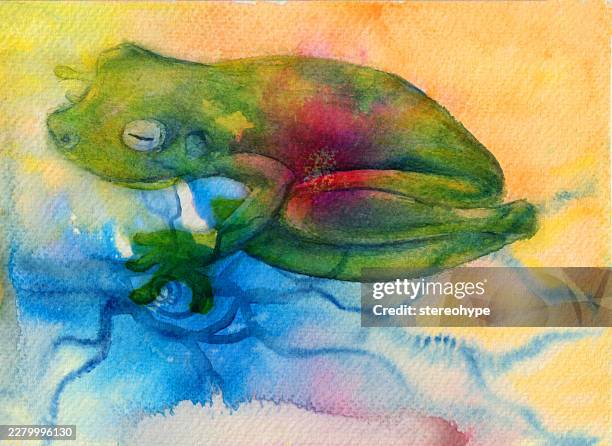 rainforest frog - coral spawning stock illustrations