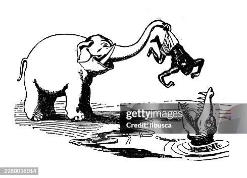 Elephant angry at hunter comic Elephant angry at hunter comic