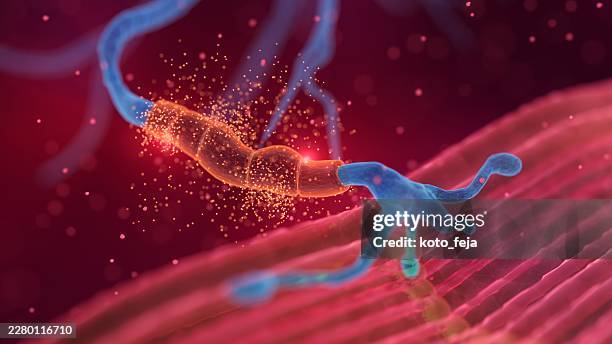 neurotransmitter release at the synaptic cleft of a neuron - autoimmune disease stock pictures, royalty-free photos & images
