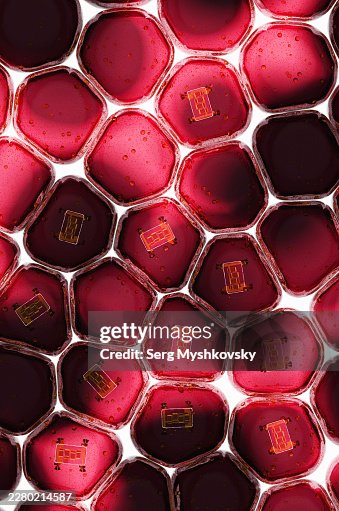 Microscopic nanorobot engineered to work inside a red blood cell. Microscopic nanorobot engineered to work inside a red blood cell.