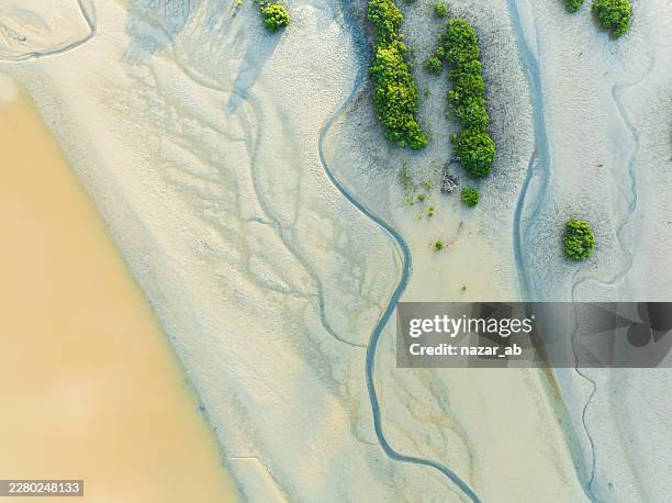 aerial view of braided river tidal channels at low tide, auckland. - tropical tree stock pictures, royalty-free photos & images