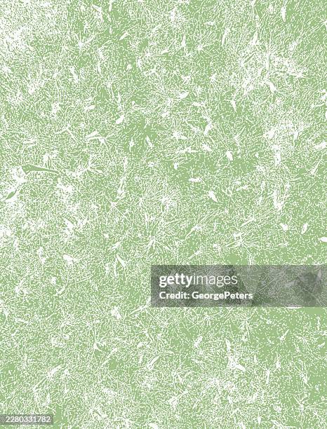 fluffy cottonwood seeds background - cotton balls stock illustrations