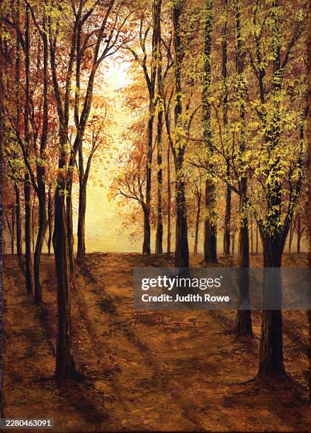 sunlit autumn trees - foggy path stock illustrations