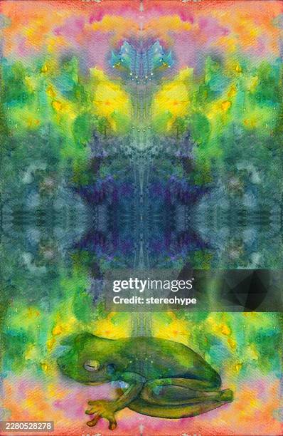 rainforest frog - dangerous path stock illustrations
