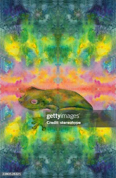rainforest frog - spawning stock illustrations