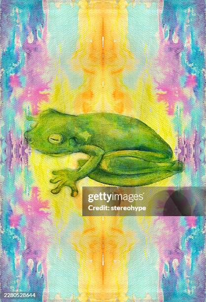 rainforest frog - spawning stock illustrations