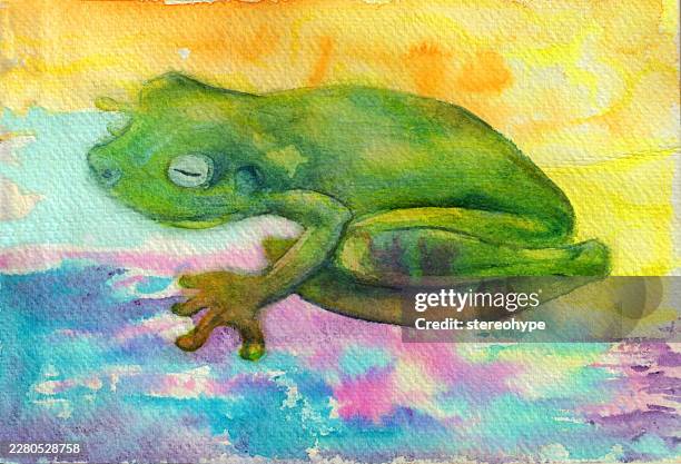 rainforest frog - spawning stock illustrations